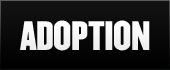 Adoption